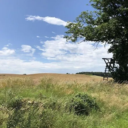 Major Comfortable Casa de Férias