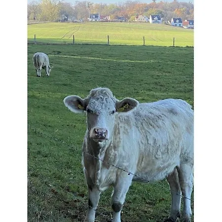 Major Comfortable Casa de Férias *