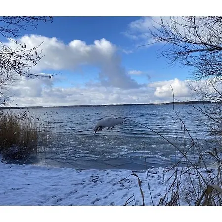 Casa de Férias Major Comfortable *