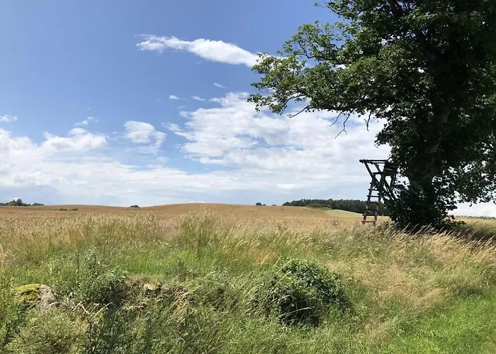 Major Comfortable Feriehus