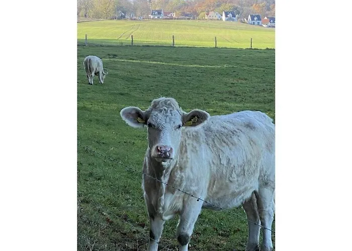 Major Comfortable Feriehus *